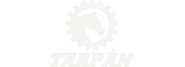 Tarpán